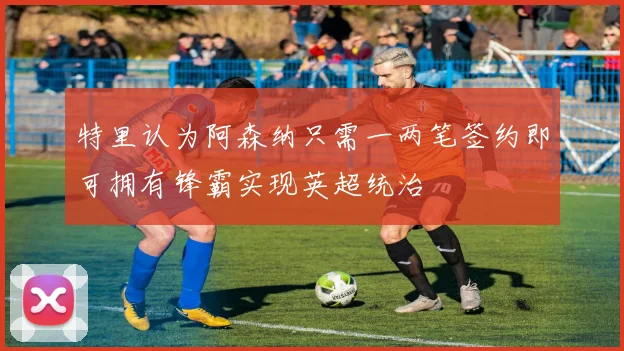 特里认为阿森纳只需一两笔签约即可拥有锋霸实现英超统治