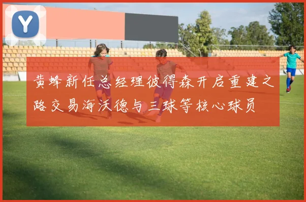 黄蜂新任总经理彼得森开启重建之路交易海沃德与三球等核心球员